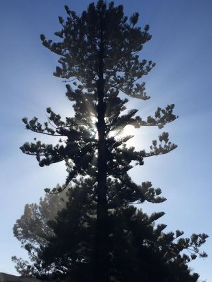 12696958_10153862880161763_5572285153183863366_o